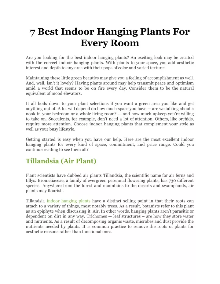 7 best indoor hanging plants for every room