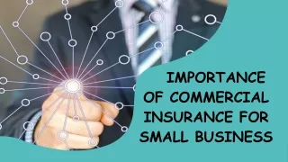 IMPORTANCE OF COMMERCIAL INSURANCE IN SMALL BUSINESS
