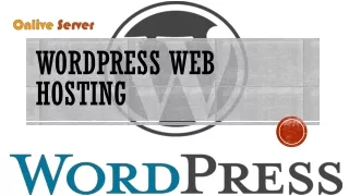WordPress Web Hosting is Excellent Ground for your Website