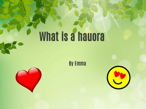 what is a hauora
