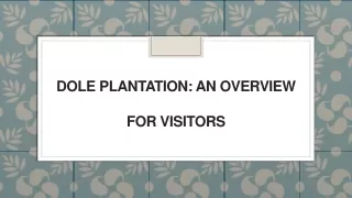dole plantation an overview