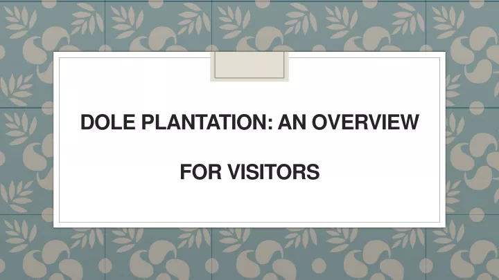 dole plantation an overview