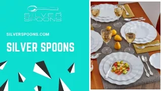 Elegant Plastic Plates Wholesale