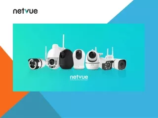 Introducing The Best Netvue Birdfy Cam