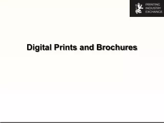 digital prints and brochures