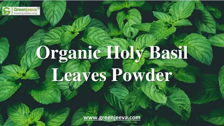 organic holy basil leaves powder