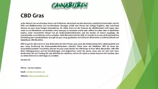 cbd gras