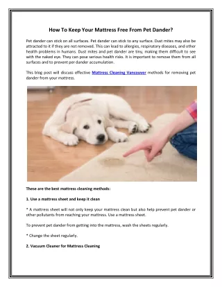 how to keep your mattress free from pet dander