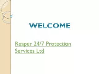 reaper 24 7 protection services ltd