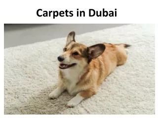 carpets in dubai