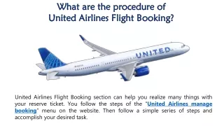 what are the procedure of united airlines flight