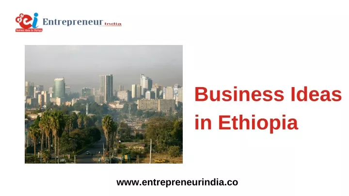 business ideas in ethiopia