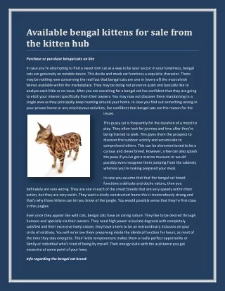 available bengal kittens for sale from the kitten
