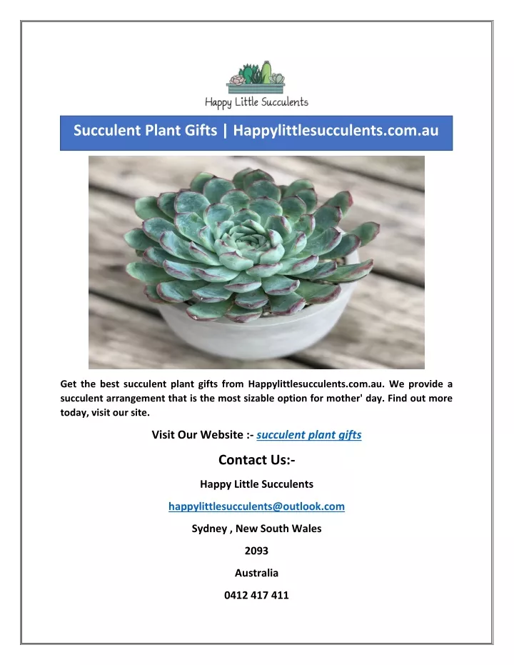 succulent plant gifts happylittlesucculents com au