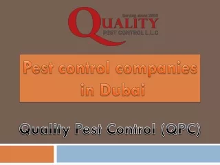 Pest control companies in Dubai