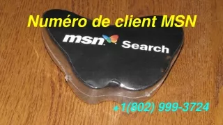 Numéro de client MSN | 1(802) 999-3724|