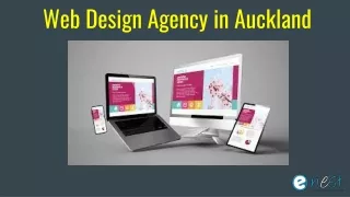 web design agency in auckland