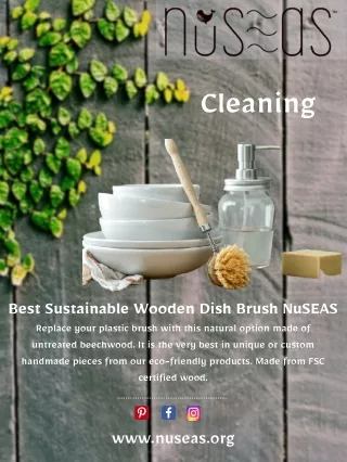 Shop Our Sustainable Wooden Dish Brush Online | NuSEAS