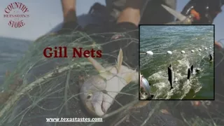 Best Gill Net for fish catching at Texas Tastes