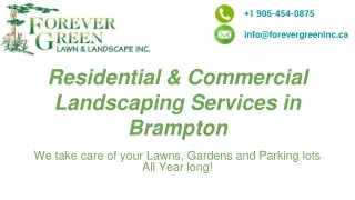 Residential and Commercial Landscape Services in Brampton