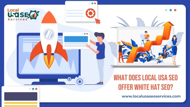 what does local usa seo offer white