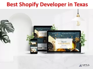 Best Shopify Developer in Texas