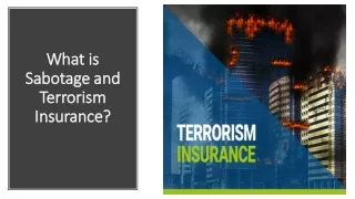 What is Sabotage and Terrorism Insurance