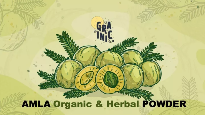 amla organic herbal powder