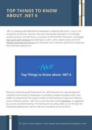 top things to know about net 6