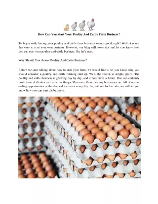 How Can You Start Your Poultry And Cattle Farm Business