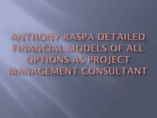 Anthony Raspa Detailed Financial Models of All Options as Project Management Consultant