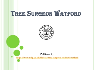 Tree Surgeon Watford