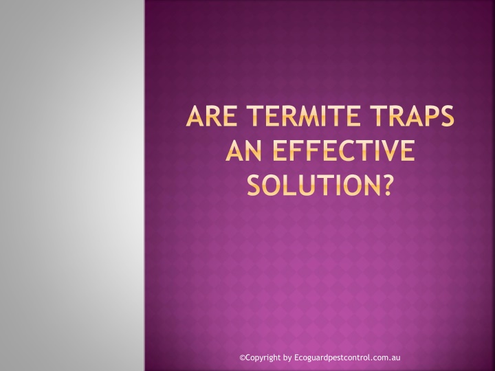 are termite traps an effective solution