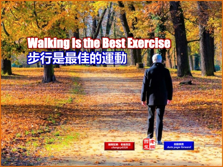 walking is the best exercise