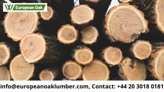 Choosing the Right Type of Timber & Board