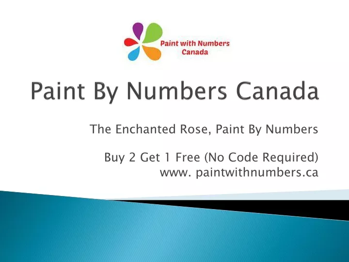 paint by numbers canada