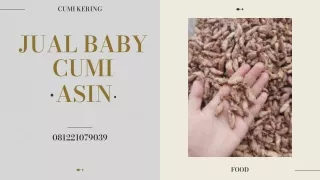 ORIGINAL! WA 0812-2107-9039, Jual Baby Cumi Kering Malang	Baby Cumi Di Malang