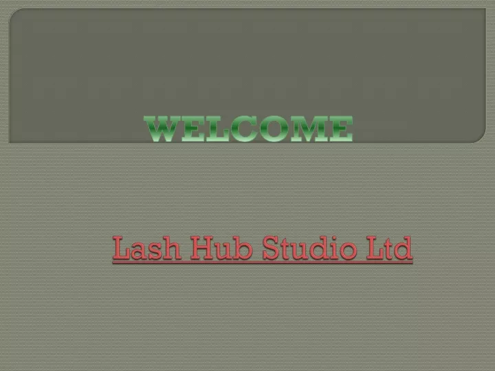 lash hub studio ltd