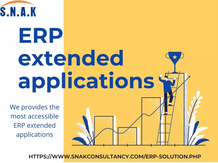 erp extended applications