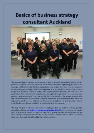 basics of business strategy consultant auckland