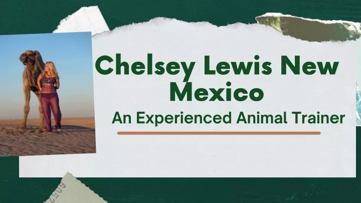 chelsey lewis new mexico