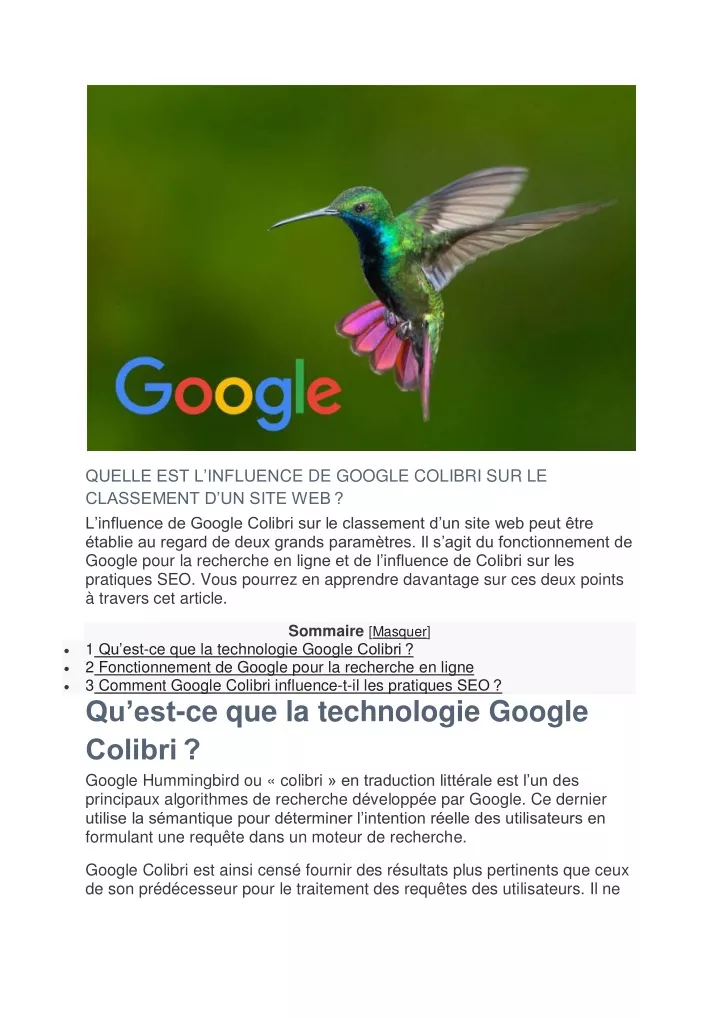 quelle est l influen ce de google colibri