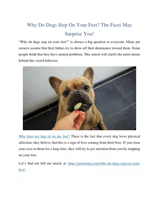 Why Do Dogs Step On Your Feet