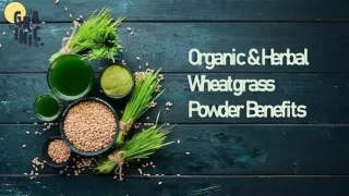 Grainic Organic & Herbal Wheatgrass Powder