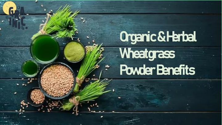 organic herbal wheatgrass powder benefits