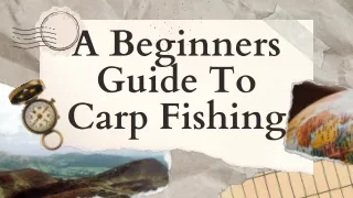 A Beginners Guide To Carp Fishing