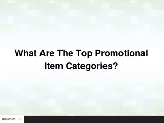 What Are The Top Promotional Item Categories?