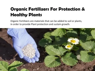 Benefits of Organic Fertilizers | Indogulf