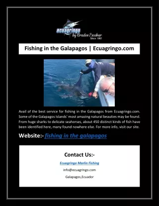 Fishing in the Galapagos | Ecuagringo.com