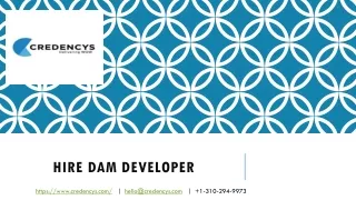 hire dam developer